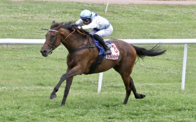 Stella Marina gewinnt in Vittel und Platzierung von Charlemagne