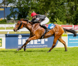 EMIRATE'S FLIGHT gewinnt in Mannheim unter Jaqueline Laquai_ ©Sabrina Doll