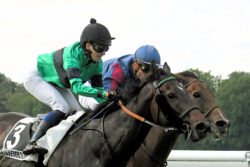PEGO gewinnt mit Mathilde Cabal im toten Rennen in Wissembourg _ ©Albert Eyermann PEGO gewinnt mit Mathilde Cabal im toten Rennen in Wissembourg _ ©Albert Eyermann