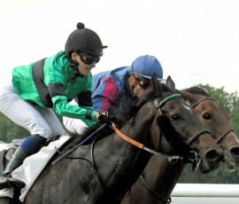 PEGO gewinnt mit Mathilde Cabal im toten Rennen in Wissembourg _ ©Albert Eyermann