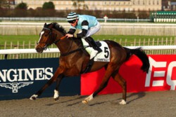 SAINT FIACRE gewinnt mit A. Madamet in Chantilly ©APRH SAINT FIACRE gewinnt mit A. Madamet in Chantilly ©APRH