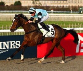 SAINT FIACRE gewinnt mit A. Madamet in Chantilly ©APRH