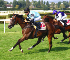 SAINT FIACRE gewinnt mit Stéphane Pasquier in Clairefontaine ©APRH