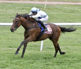 STELLA MARINA gewinnt unter Eddy Hardouin in Vittel_ ©Hugo & Fréderic Diehl