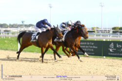Sieg CHARLEMAGNE_ Cagnes sur Mer_ mit Stephane Pasquier ©Agence Couleur Casaques Sieg CHARLEMAGNE_ Cagnes sur Mer_ mit Stephane Pasquier ©Agence Couleur Casaques