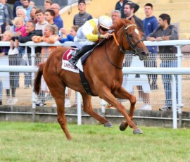 Sieg RUNNING RAINDROP Clairefontaine_ ©Scoopdyga