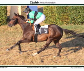 Zephir gewinnt unter Berit Weber_ Montier en Der ©Hugo Diehl