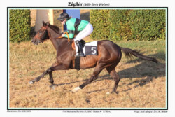 Zephir gewinnt unter Berit Weber
Montier en Der
©Hugo Diehl Zephir gewinnt unter Berit Weber_ Montier en Der ©Hugo Diehl