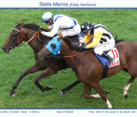 Zweiter Sieg von STELLA MARINA unter Eddy Hardouin am 27.08.2025 in Vittel_ ©Frédéric Diehl